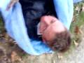 MOV00208