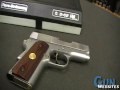 Para-Ordnance small 1911 style Light Double Action (LDA) in .45acp