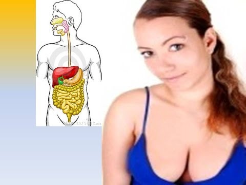 how to fasten your digestive system