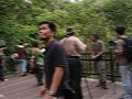 Bukit Timah Nature Reserve\ Bukit Timah Nature Reserve\