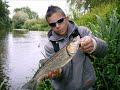 Chub aux leurres