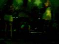 haciendo show en el Blue