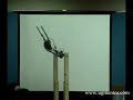 LEGO Mindstorms NXT: Gymnastic Robot