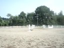 Haley Jumping Haley Jumping