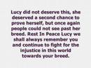 Pitbull Lucy's Memorial...We are sorry we couldnt save you. RIP.