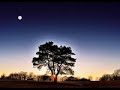 Save tonight by Batiz Chiprut