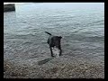 gaja and paxx on the shore