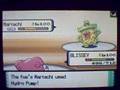 Pokemon Wifi Battle Lilium VS Ivan