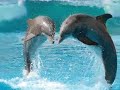 Law of Attraction soulmate invitation