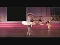 sleeping beauty third act fairies