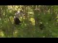 videos de Director Of Photography Reel