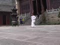Baxian Gun