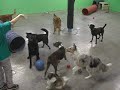 More group play