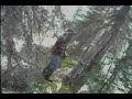 Old \"gold\" prospectors cabin and sley Old \"gold\" prospectors cabin and sley