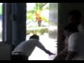 desmadre elctronica b 1 semestre cet mar campeche desmadre elctronica b 1 semestre cet mar campeche