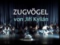 Zugvögel (Migrant Birds) by Jiří Kylián at the Bavarian State Ballet