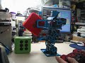 RB1000 Box Lifting