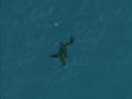 World of Disneycraft - Under the Sea World of Disneycraft - Under the Sea
