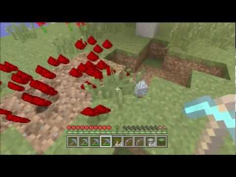 how to get fortune x minecraft