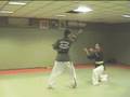 videos de Sei Shin Ryu - Rene Jo Kata San