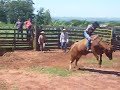 treino cia de rodeio 3c arapongas pr