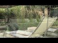 Landscape Garden Walls