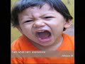 Six Word Memoirs (2008)