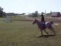 Bellinge 01.06.08
