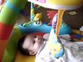 Brooklyn 7wks