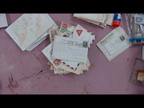 動画