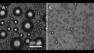 Water-repellent nanotextures found to have excellent anti-fogging abilities