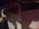 rien de mieux que compter une histoire a un ti n'enfant avant de lui donner une biere pis de l'sacr� au lit. ouah!!! �coutez l'histoire de clow-clown le clown!!