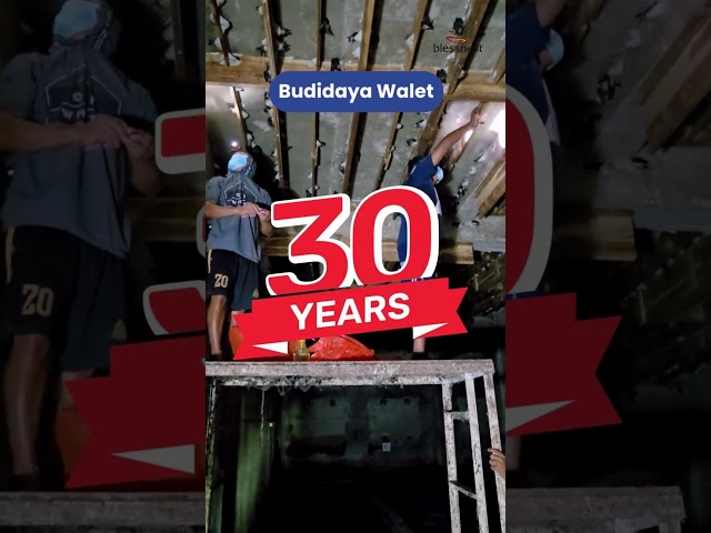 KENAPA HARUS BLESSNEST ? BUKAN YANG LAIN ?