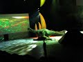 Walking With Dinosaurs 2