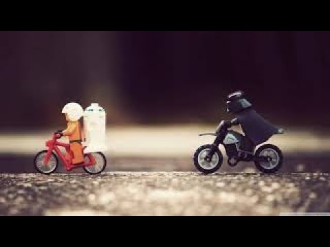 動画
