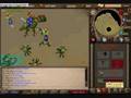 dizzyd9 and fire rebirth kq