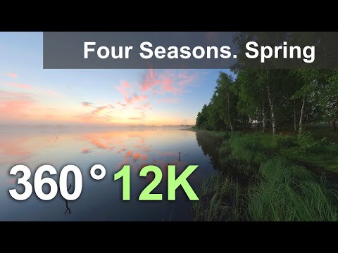 Four Seasons. Spring Forest. Relaxation 360 video in 12K - YouTube