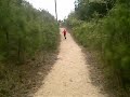 CJ Runs Down a Steep Hill
