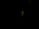 boys-noize-5-days-off.html