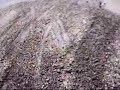 atc 2000 helmet cam 98 watercross engine brake in