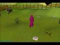 [RS]cow killing