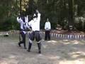 Don Mathieu vs Henry Hawkyns