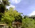 Padang Padang - Bali