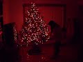 Christmas 08.avi Christmas 08.avi
