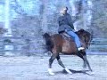 OSF Jasmine, under saddle