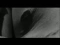 Trailer - O Corpo Conforme