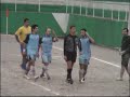 Miragaia-Passarinhos