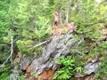 Miramichi Mullen Stream Falls