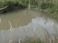 videos de Divide Creek Seep 2004 - Gas in beaver pond diminishing
