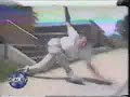skate